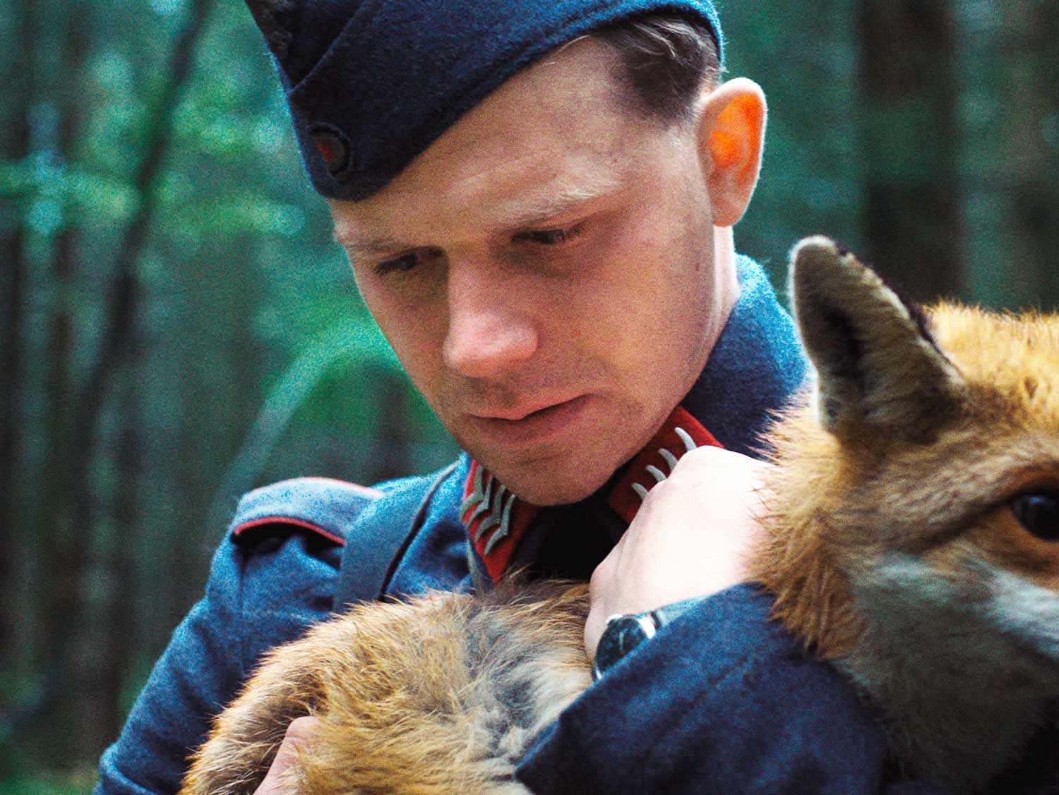 A róka (forrás: Geissendoerfer Pictures GmbH / Lotus Film GmbH / Yoshi Heimrath és Paul Sprinz)
