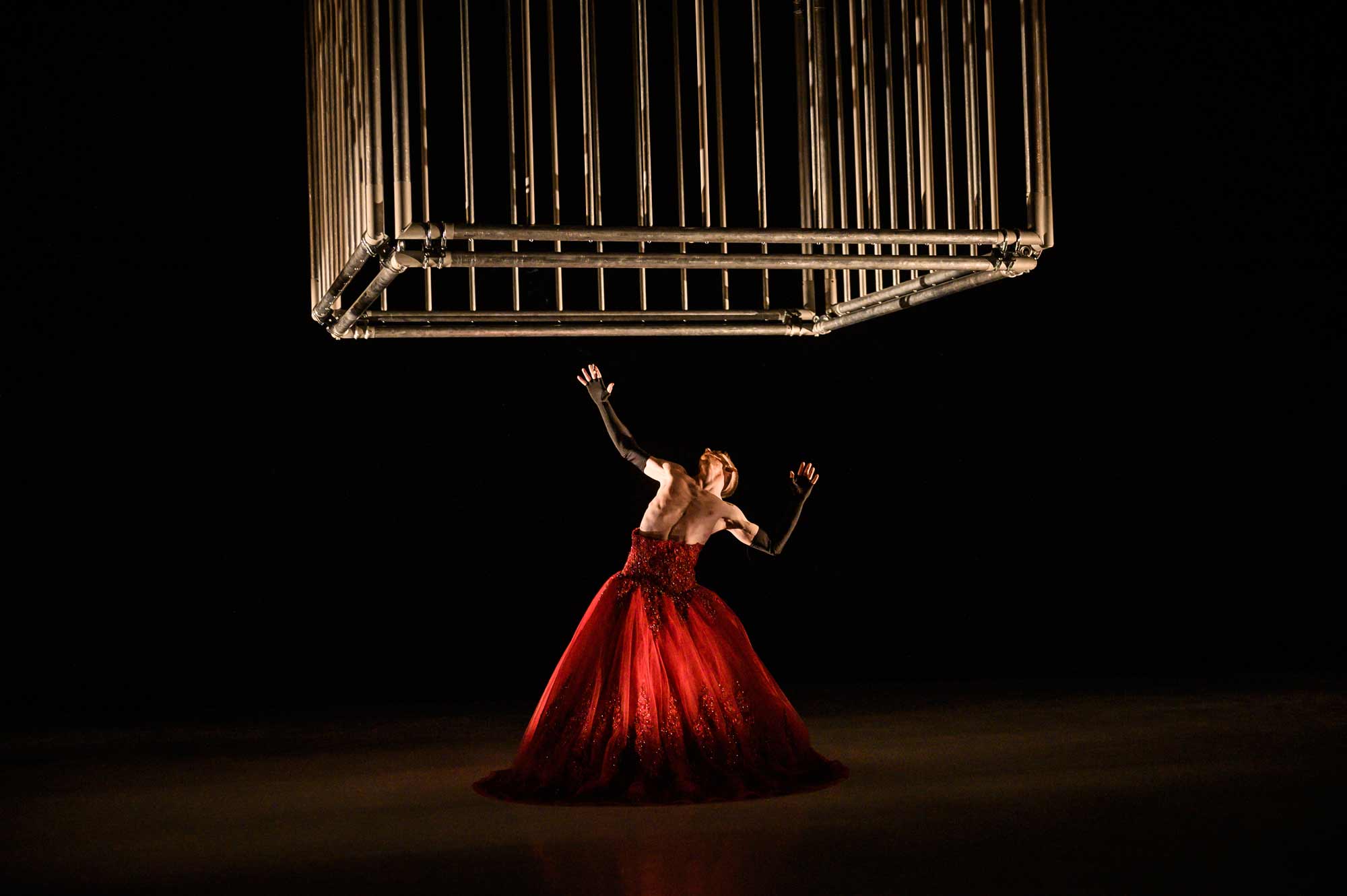 Cage (photo: Katalin Bobal)